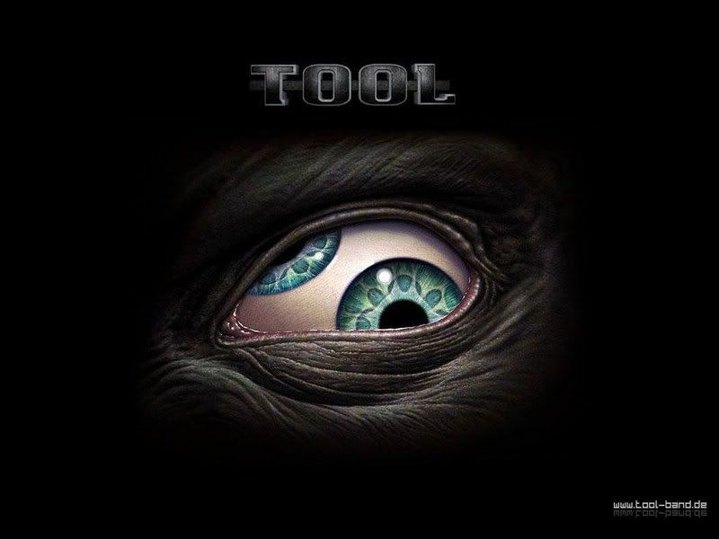 band wallpapers. tool the and wallpapers