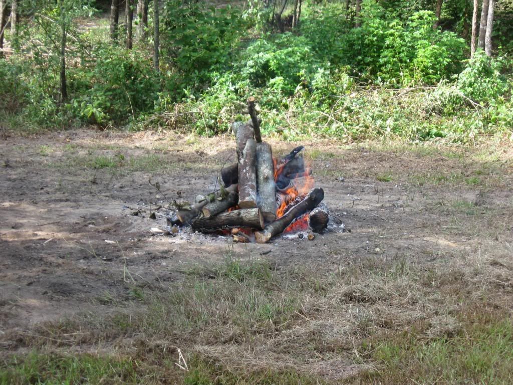 Whole hog roast - Homesteading Questions