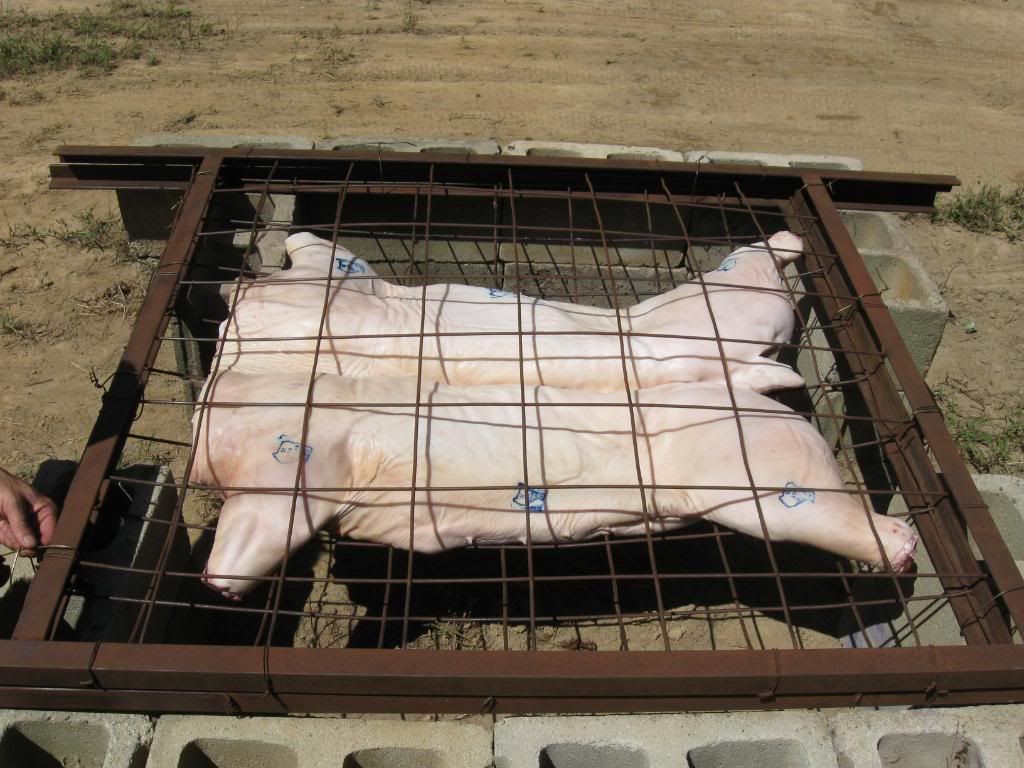 Whole hog roast - Homesteading Questions
