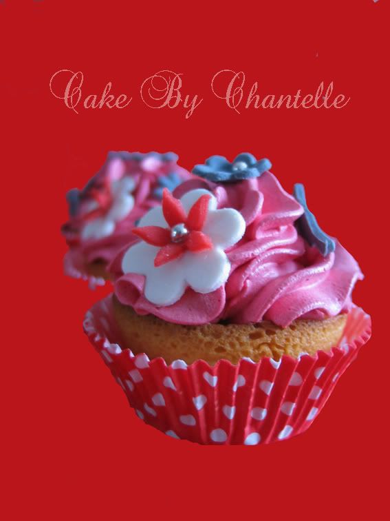 http://i958.photobucket.com/albums/ae67/Chantel67/cupcakeemmy021xklein.jpg