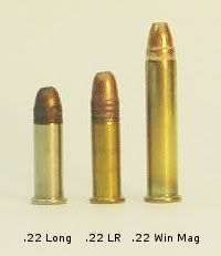 .22 bullets Pictures, Images and Photos
