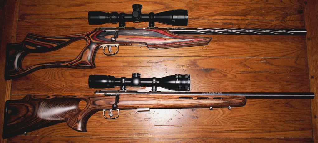 savage-mk-ii-vs-ruger-10-22-ruger-forum