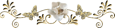 White rose with gold butterfly Pictures, Images and Photos